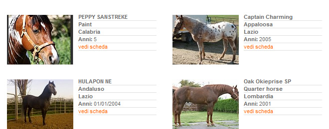 Stalloni - Stagione di monta 2013