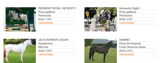 Stalloni - Stagione di monta 2013