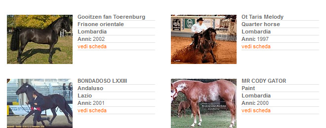 Stalloni - Stagione di monta 2013