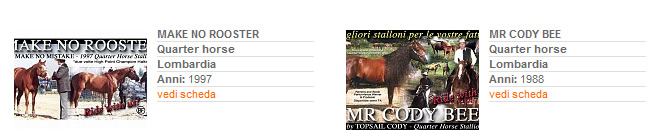 Stalloni - Stagione di monta 2013