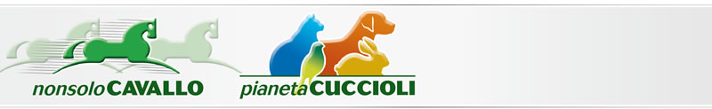 NonsoloCavallo - Pianeta Cuccioli