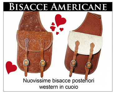 Bisacce americane
