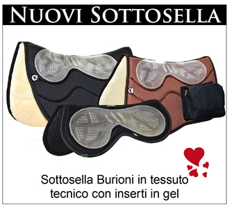 Nuovi sottosella Burioni