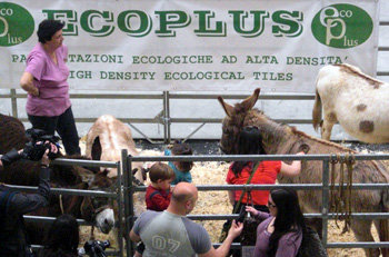 Esempi di applicazione