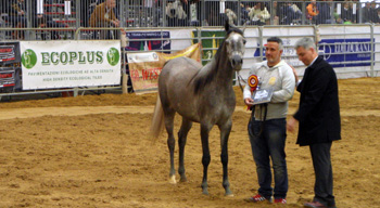 Esempi di applicazione