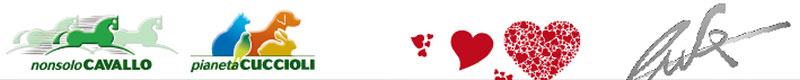 NonsoloCavallo - Pianeta Cuccioli