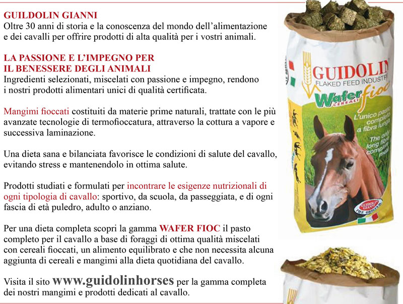 La passione e l'impegno per il benessere degli animali