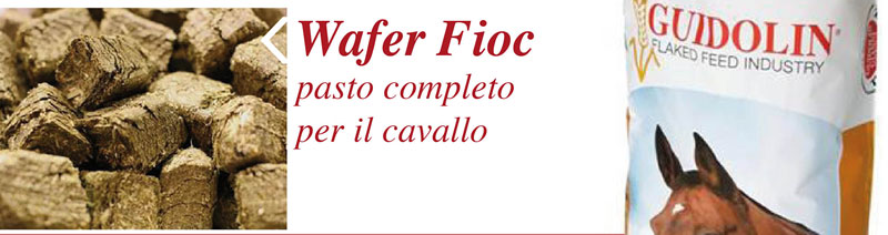 Wafer Fioc