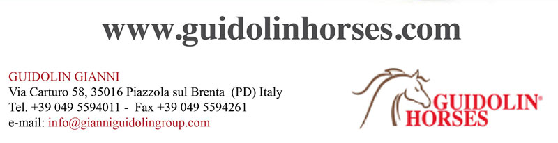 GUIDOLIN HORSES