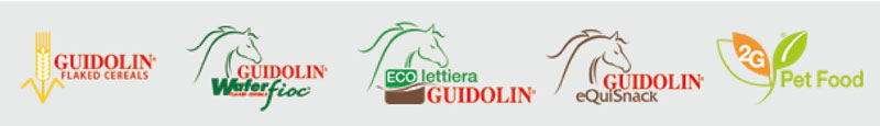 GUIDOLIN HORSES