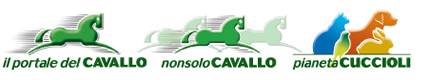 Il Portale del Cavallo - NonsoloCavallo - Pianeta Cuccioli