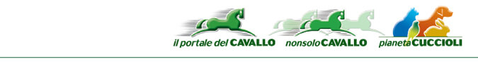 Il Portale del Cavallo - NonsoloCavallo - Pianeta Cuccioli