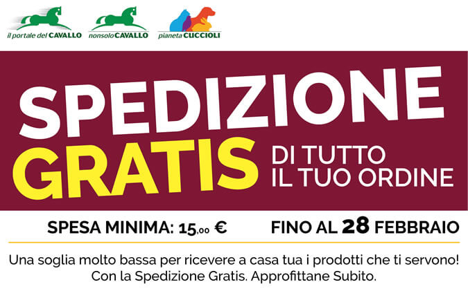 SPEDIZIONE GRATIS