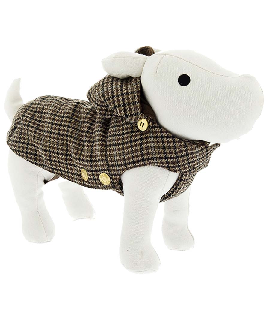 cappotto cane