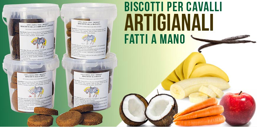 biscotti per cavalli