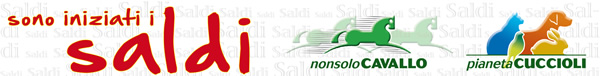 Sono iniziati i SALDI