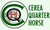Cerea Quarter Horse
