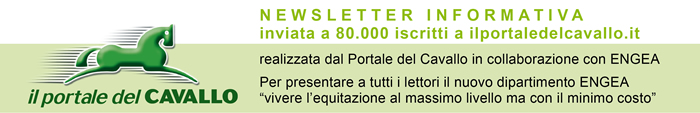 NEWSLETTER INFORMATIVA inviata a 80.000 iscritti a ilportaledelcavallo.it