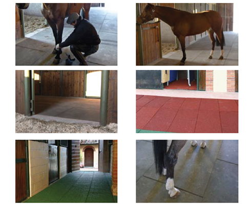 Equi-Gomma - Pavimentazioni Tecniche di Sicurezza