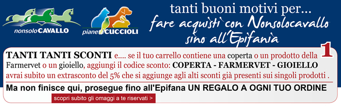 Tanti buoni motivi per... fare acquisti con NonsoloCavallo fino all'Epifania