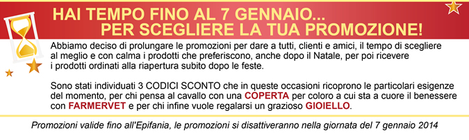 Hai tempo fino al 7 Gennaio... per scegliere la tua promozione!