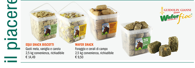 Il piacere di comprare online