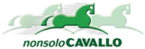 Nonsolocavallo
