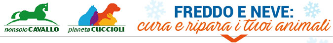 Freddo e neve: cura e ripara i tuoi animali