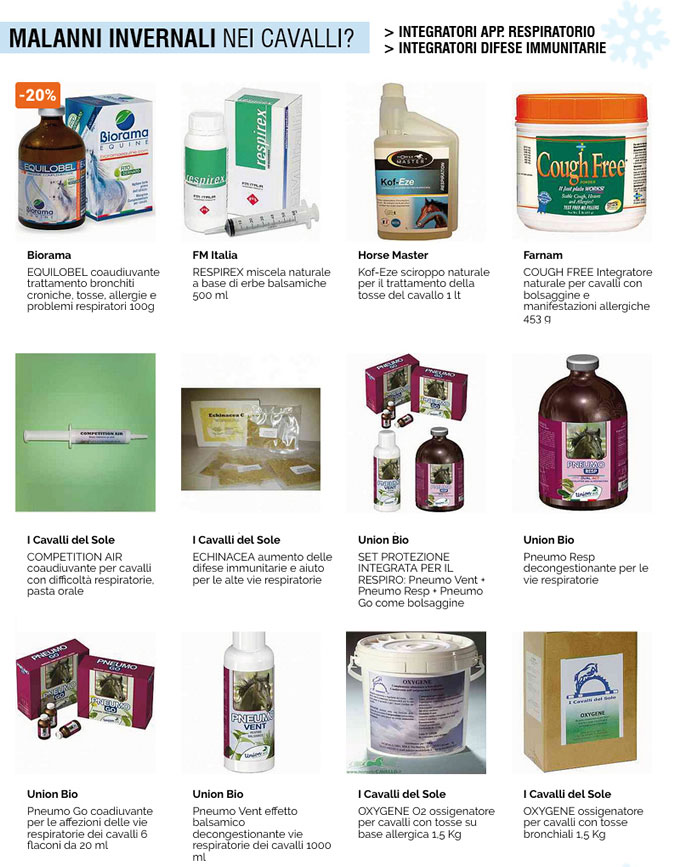 Malanni invernali nei cavalli?