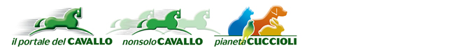 NonsoloCavallo - Pianeta Cuccioli