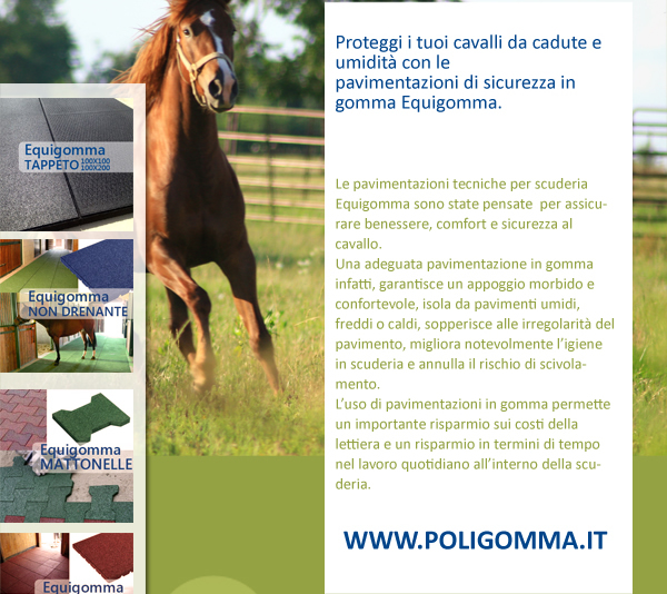 Le pavimentazioni tecniche per scuderia Equigomma sono state pensate per assicurare benessere, comfort e sicurezza al cavallo. Una adeguata pavimentazione in gomma infatti, garantisce un appoggio morbido e confortevole, isola da pavimenti umidi, freddi o caldi, migliora notevolmente l'igiene in scuderia e annulla il rischio di scivolamento. L'uso di pavimentazioni in gomma permette un importante risparmio sui costi della lettiera e un risparmio in termini di tempo nel lavoro quotidiano al'interno della scuderia.