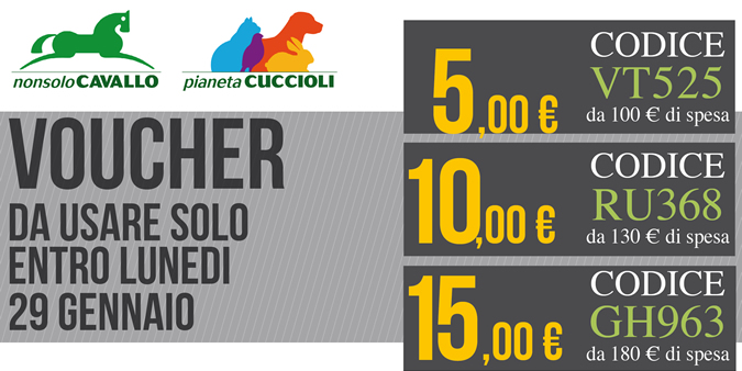 Voucher da usare solo entro Lunedi 29 Gennaio