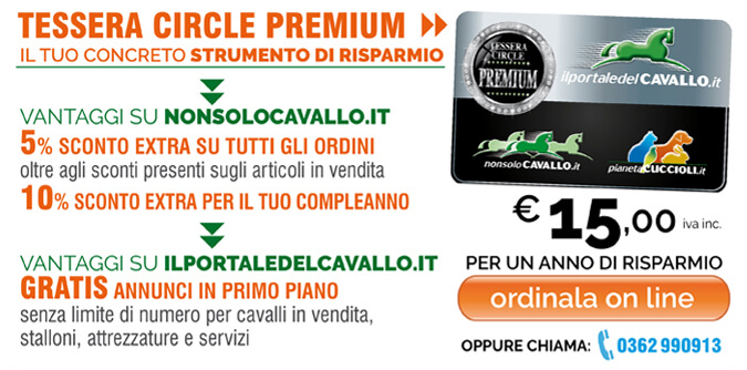 Tessera Circle Premium