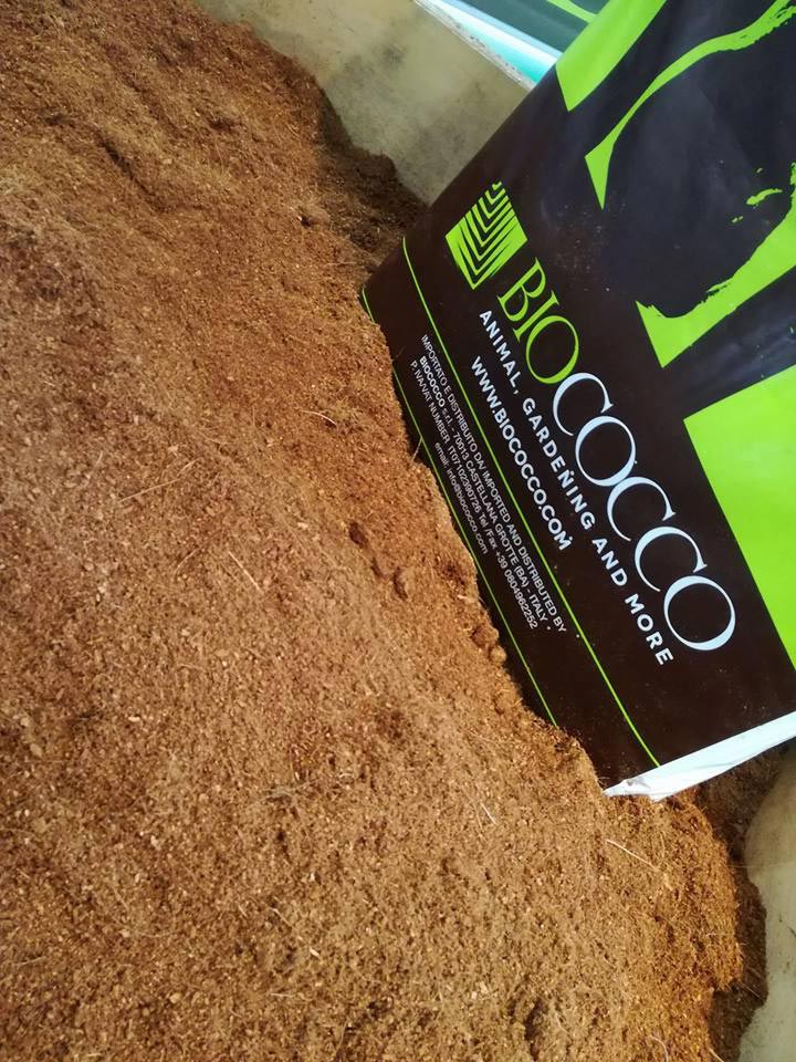 Lettiera Biococco NATURALE  er priva di sostanze chimiche