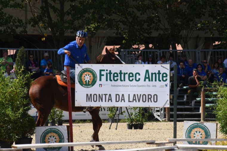 Cavalli a Roma by Veronafiere