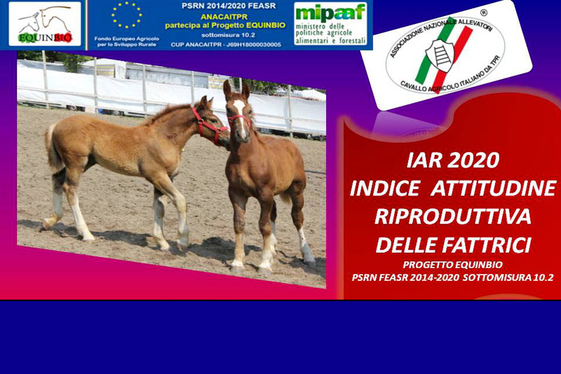 ANACAITPR indice attitudine