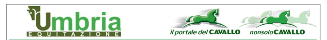 NOVITÀ E PROMOZIONI | Scopri le ultime proposte di Umbria Equitazione