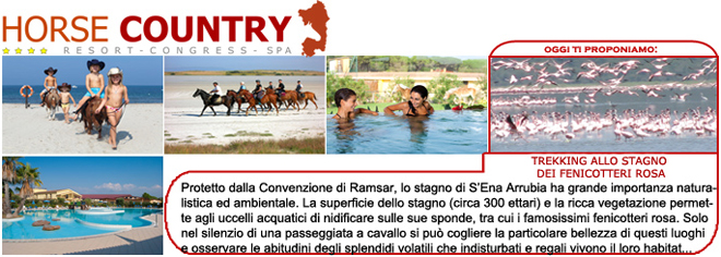 Trekking allo stagno dei fenicotteri rosa