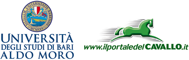 Università degli Studi di Bari - Il Portale del Cavallo