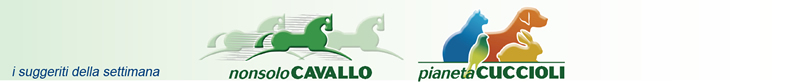 NonsoloCavallo - Pianeta Cuccioli