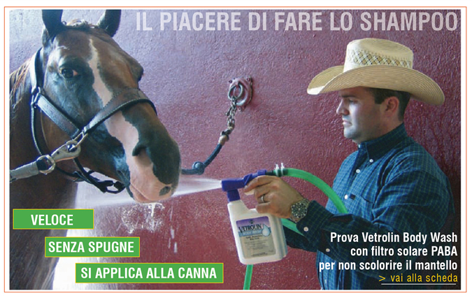 IL PIACERE DI FARE LO SHAMPOO