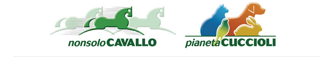 NonsoloCavallo - Pianeta Cuccioli
