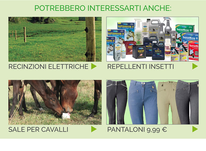 Potrebbero interessarti anche