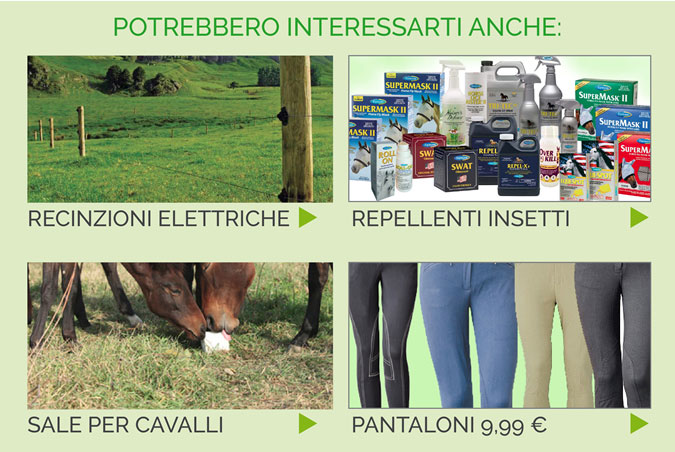 Potrebbero interessarti anche...