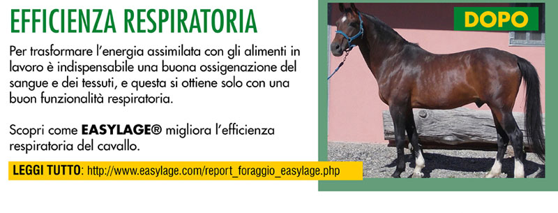 Efficienza respiratoria