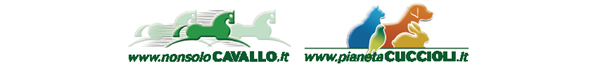 NonsoloCavallo - Pianeta Cuccioli