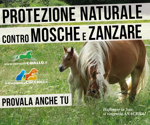 Protezione naturale contro mosche e zanzare: provala anche tu