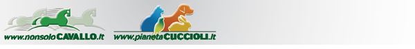 NonsoloCavallo - Pianeta Cuccioli