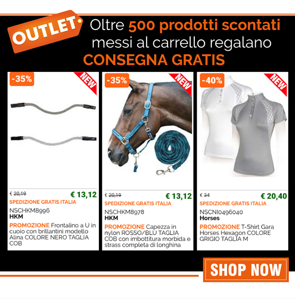 Oltre 500 prodotti scontati messi al carrello regalano CONSEGNA GRATIS