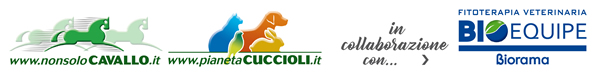 NonsoloCavallo - Pianeta Cuccioli in collaborazione con Bioequipe